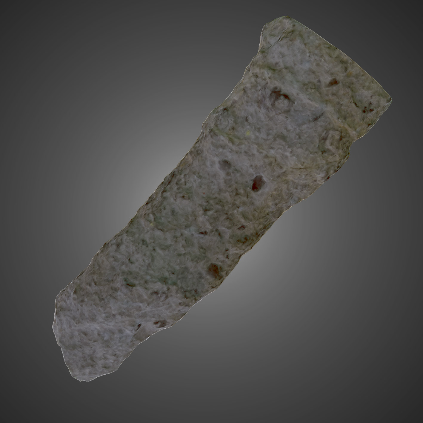 Thalassinoides suevicus