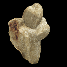 Lobothyris subpunctata